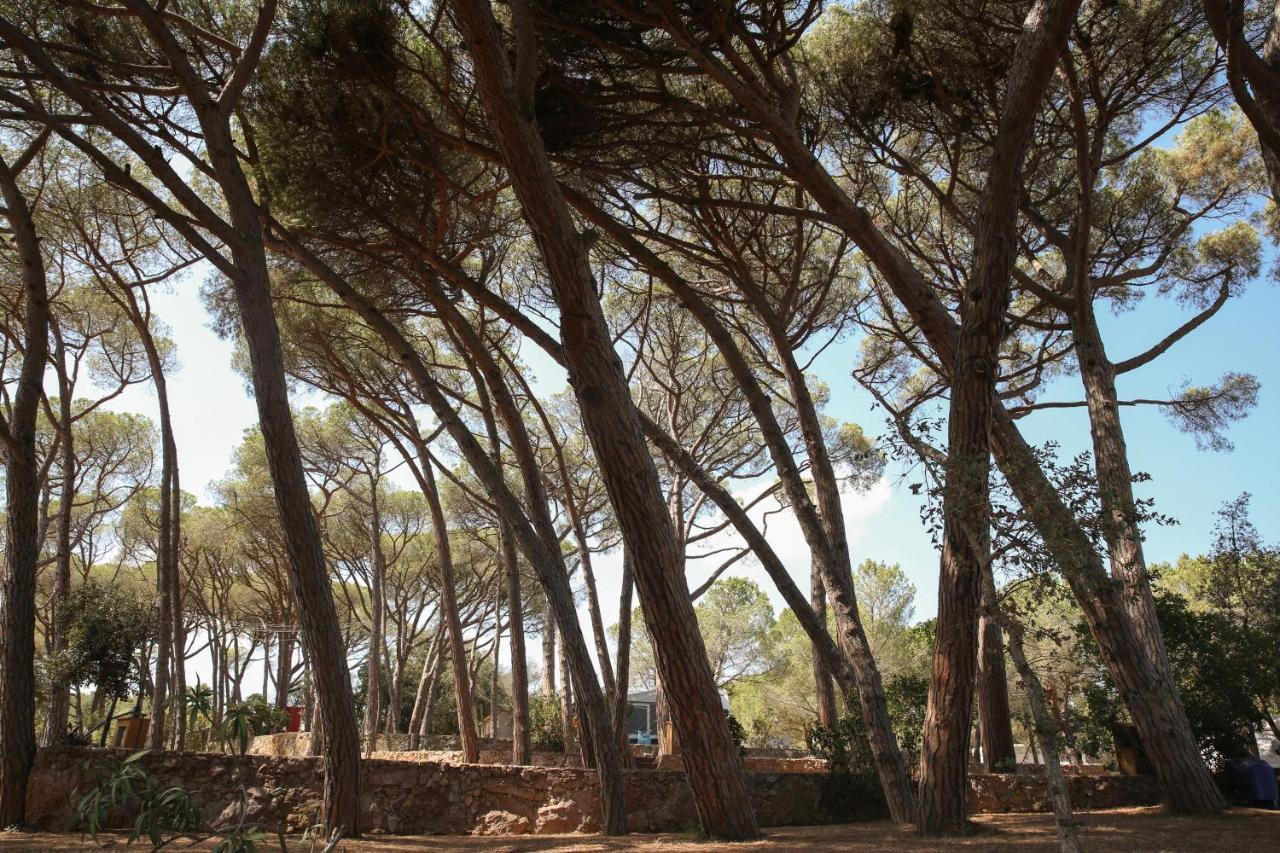 Camping 3 Estrellas Costa Brava Vall-Llobrega Luaran gambar